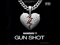 GUN SHOT SANDHU Y  NEW PUNJABI SONG 2024  PREET MUSIC RECORD'S