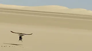 كم تمنيت وتمنيت بدر العزي دندنها
