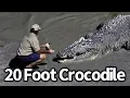Download Lagu Giant Crocodile Attacks Woman in Borneo, Bujang Senang Part 2