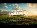 warren zeiders - intoxicated (lyrics)