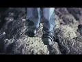 back number - ある未来より愛を込めて Teaser