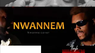 nwannem nwanne cover by tboyla suscribe