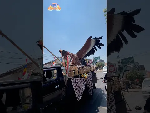 REMBULAN KETEMU OGOH-OGOH DI LAMPU MERAH #shorts #viral #ogohogoh #karnaval #lucu #burung #pawai#fun