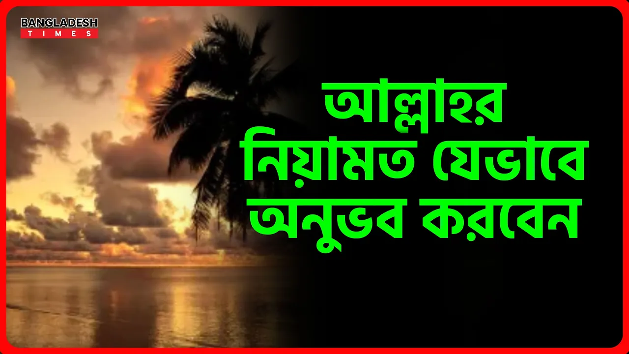 আল্লাহর নিয়ামত যেভাবে অনুভব করবেন | ইসলামিক টিপস