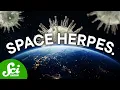 Download Lagu How Space Awakens Sleeping Viruses