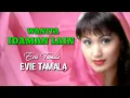 Download Lagu Wanita idaman lain - evie tamala