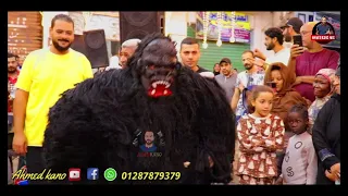 2 زفه نوبة نوتو فرحه كريم حسن جاميكا الرانجو السوداني بيعمل عظمه عدسه احمدكانو 