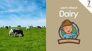 dairy from cows with george the farmer