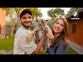 Download Lagu MUNAWAR FARUQUI: A Day in Dubai Billionaire's ZOO! #munawarfaruqui #dubai #standupcomedy #biggboss
