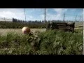 Cryengine - Alembic with physics