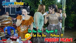 Download Madiun Ngawi ( Tak Elus Elus . . Methu 🤣🤣🤣) SUPRANADA || BAP AUDIO - live Sengon Ngargoyoso MP3