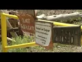 Mount Charleston planned power outage to prevent wildfires