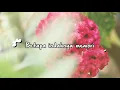 Obbie Messakh - Nostalgia Cintaku (Official Lyric Video)