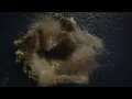 Mildlife - Return To Centaurus (Music Video)