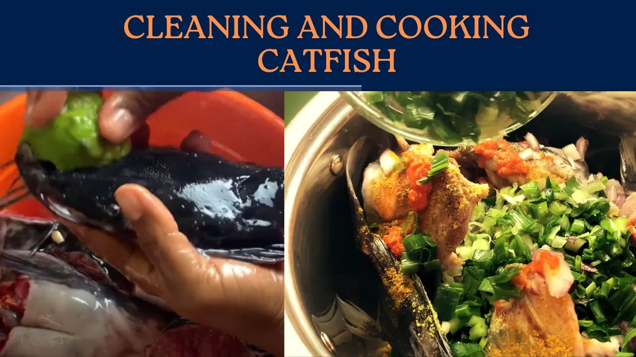 How to clean catfish before cooking - Easy, simple method to thoroughly clean and cook your catfish