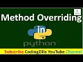 What is Overriding Methods in Python Python Method Overriding python CodingZilla