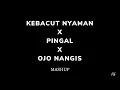 Download Lagu Kebacut Nyaman X Pingal X Ojo Nangis // Lirik + Terjemah