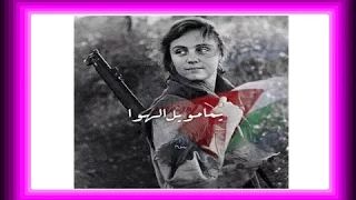 فهد يكن وأمل عرفة   مش عيب   من أجمل الأغاني الليبية دندنها