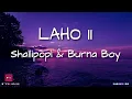 Shallipopi & Burna Boy - Laho II (lyrics)