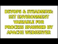 DevOps SysAdmins Set environment variable for process spawned by Apache webserver