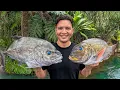 Download Lagu Catch and Cook from the Deep Reefs of Hawaii