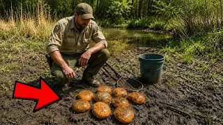 Ranger Found Strange-Looking Eggs, Experts Arrived and Evacuated the Area!