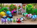 Download Lagu Proses Potong Sapi Qurban !! Wadidaw Proses Cow Cartoon