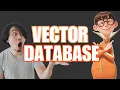 Vector Databases Make AI 10 Times Faster and Smarter