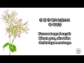 [FULL] Paul Kim 폴킴 - Every day, Every Moment 모든 날, 모든 순간 (Indonesian Sub)