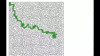 Algorithm Java Solves Braid Maze fast