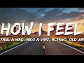 Lagu Faul \u0026 Wad, Nico \u0026 Vinz, ALTÉGO, Old Jim - How I Feel (Am I Wrong) (Lyrics)