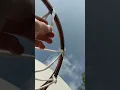 Park Basketball Net Replacement hookless rim