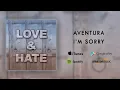 Aventura - I'm Sorry
