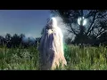 Noah Cyrus - Ready to Go (Official Audio)