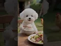 Download Lagu PUPPY steal meat , Cooks and Eats Lunch?!