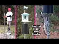 Squirrel Proof Bird Feeder Pole Design with Baffle