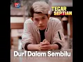 Download Lagu Tegar Duri Dalam Sembilu Official Lyrics