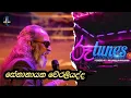 Download Lagu සේනානායක වේ‍රලියද්ද | All Songs | Senanayake Weraliyadda | Roo Tunes | Cok RED