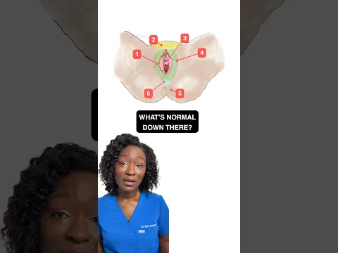 What “Normal” Actually Looks Like Down There | Your V Explained