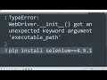 Fix TypeError WebDriver -
