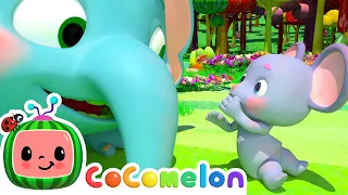 Download The Hiccup Song - Full Episode | Cocomelon Animals | Kids TV Shows Full Episodes MP3