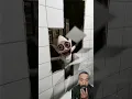 Download Lagu ding dong kudatang padamu bukalah pintu ,hantu di toilet #hantu #scary #seram #ghost