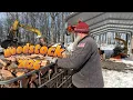 Lagu Splitting some nice cherry firewood for Woodstock 2026 # 829