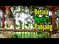 Download Lagu PRENJAK BETINA Ngetir panjang istimewa suara jernih, cocok buat PANCINGAN Ataupun MASTERAN.