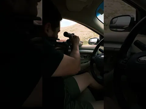 300blk subs, dead air Wolfman, bolt action sounds killer