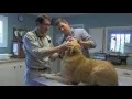 Dr Jeff Falone Management