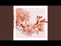 Download Lagu Sakura (feat. Akemi Takayama)