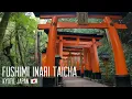 Lagu Torii, Bamboo, Shrine and Geisha. Kyoto, Japan 🇯🇵 