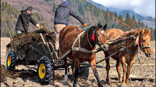 The Life Of A Large Family In The Mountains