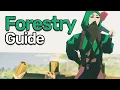 OSRS Forestry Guide Updated All Forestry Events Training Spots